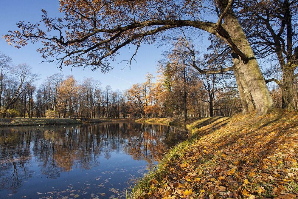 Осень в Александровском парке
