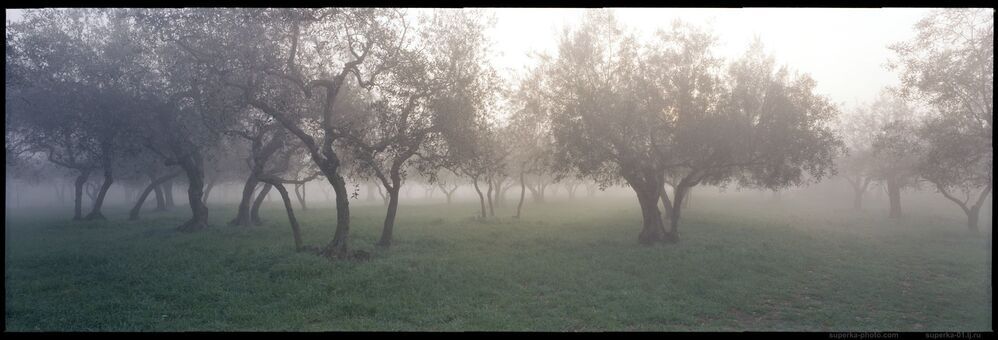 Vitorchiano