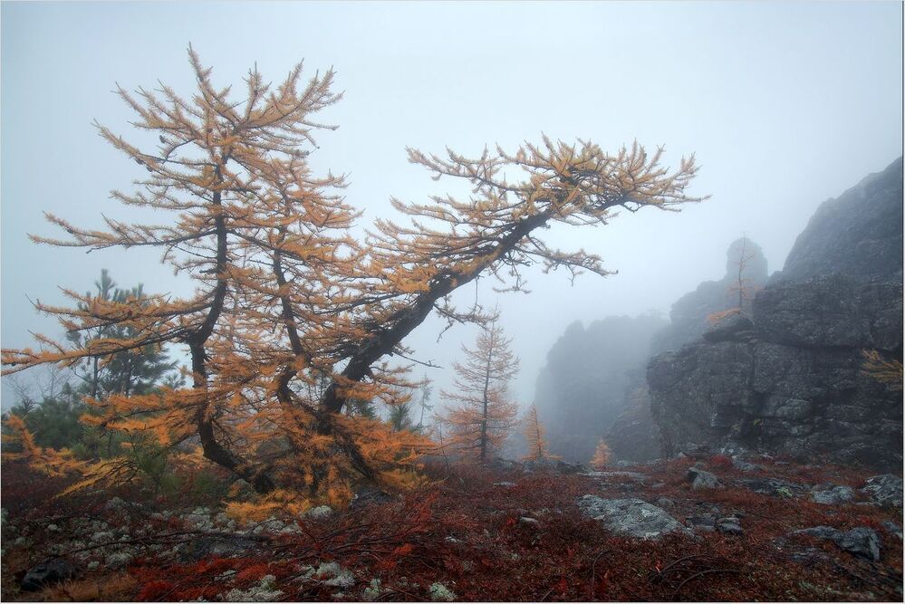 В туманах Серебрянского камня