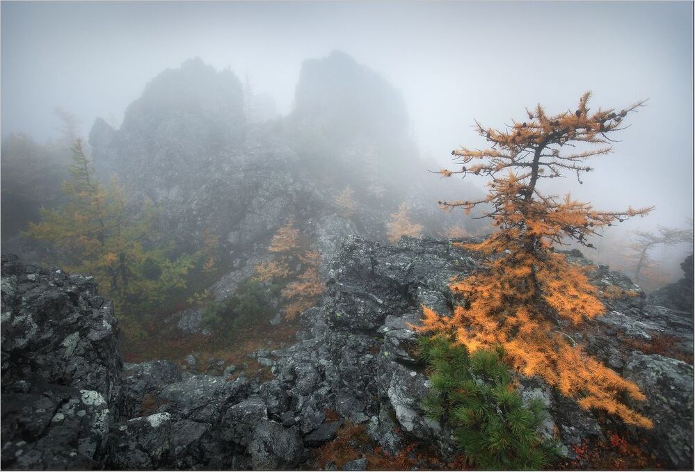 В туманах Серебрянского камня