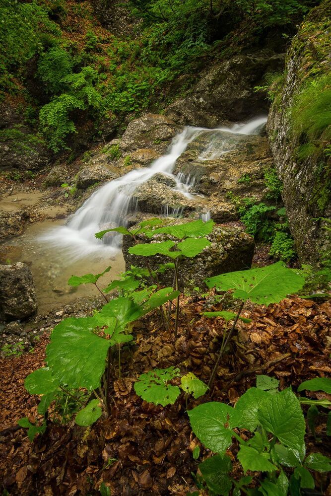 Mountain freshness