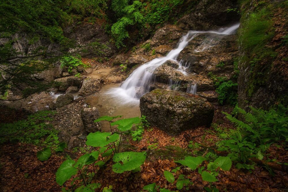Mountain freshness
