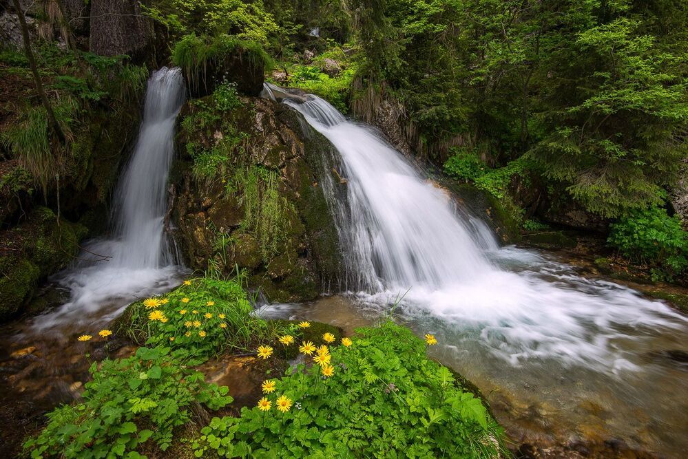 Mountain freshness