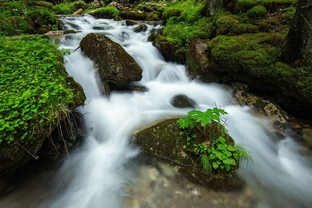 Mountain freshness