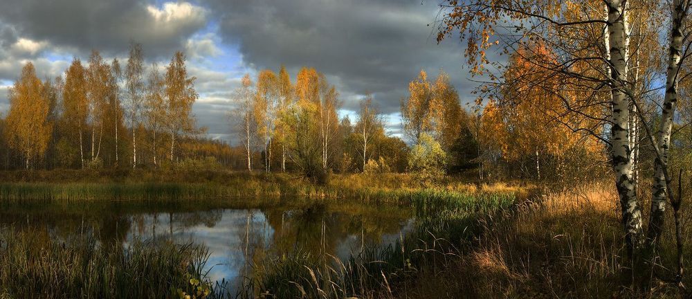 Контрасты поздней осени