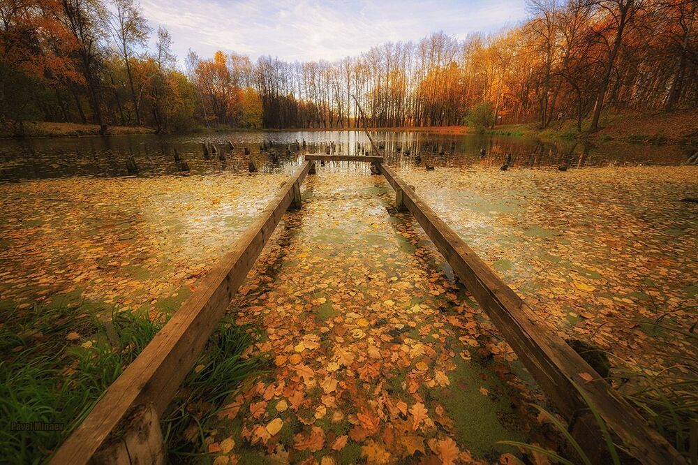 Осень в Битце