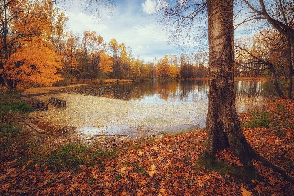 Осень в Битце