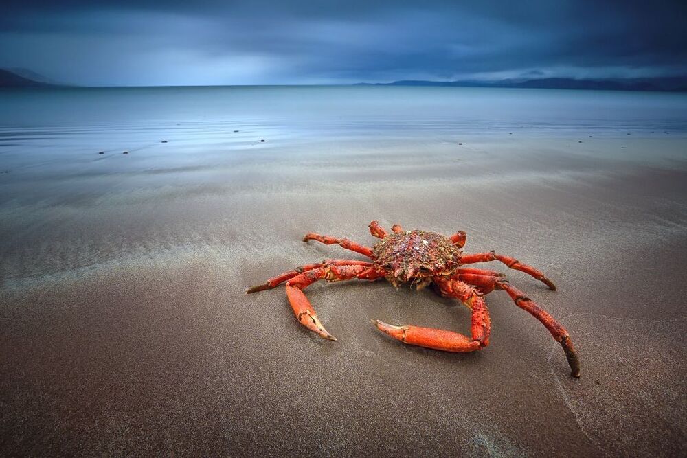 Rossbeigh Strand 
Kerry, Ireland