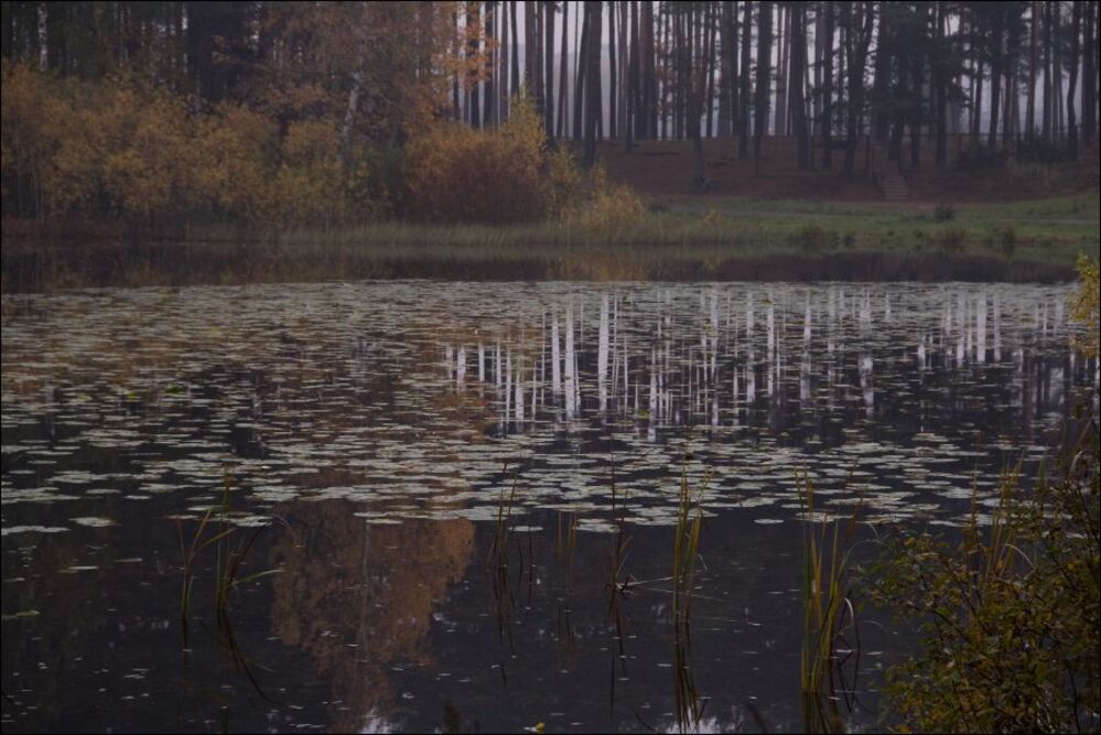Осенние акварели