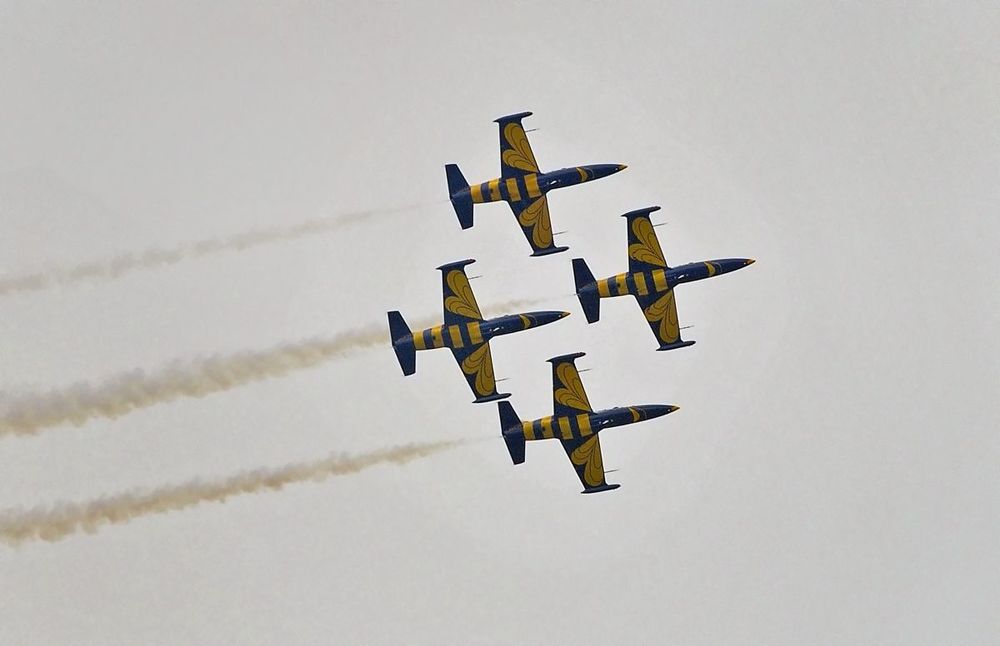 "Baltic Bees", частная гражданская пилотажная группа в Прибалтийских государствах.