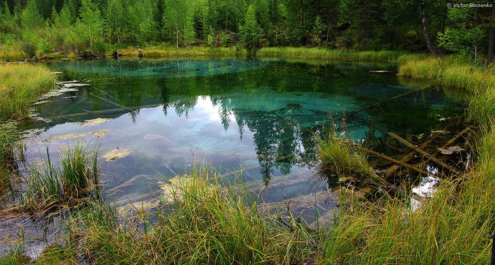 Логово водяного