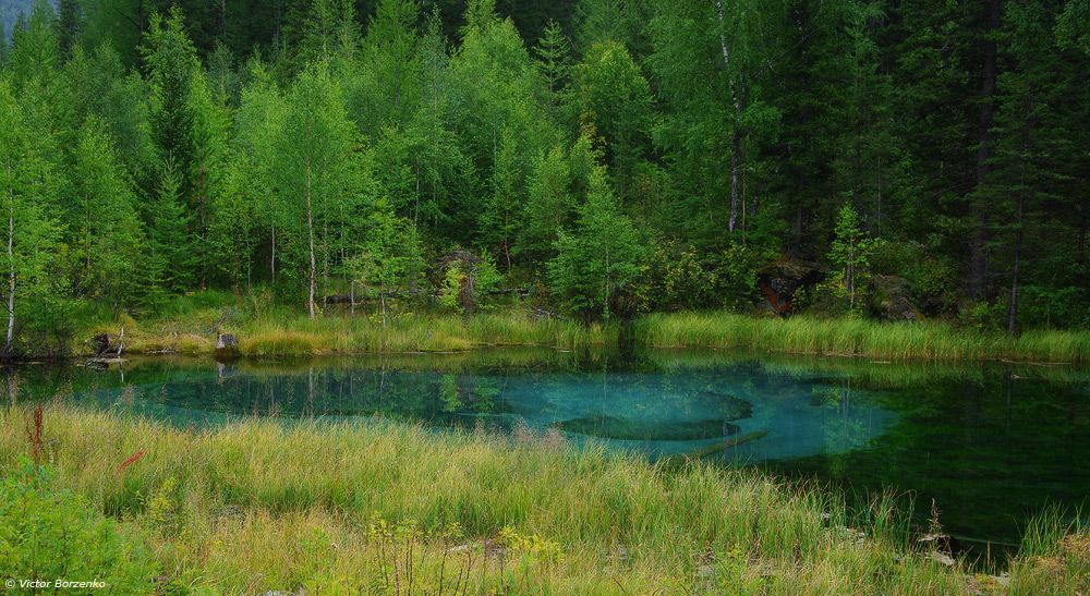 Логово водяного