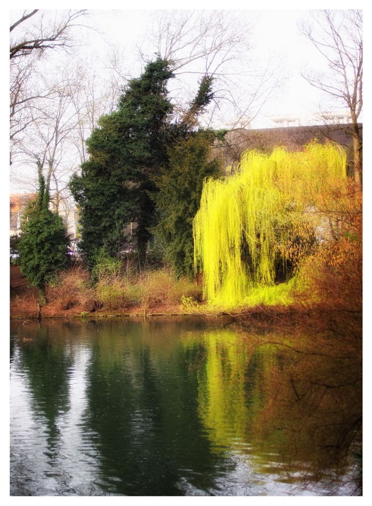 Spring in Dusseldorf
