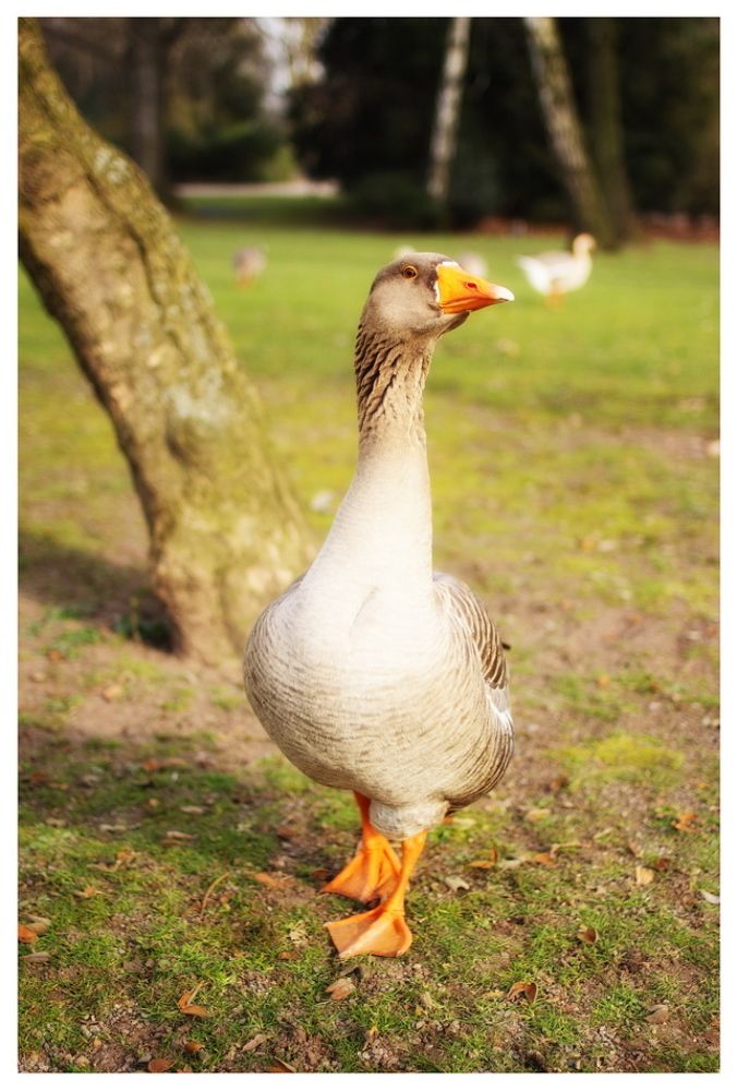 Spring in Dusseldorf