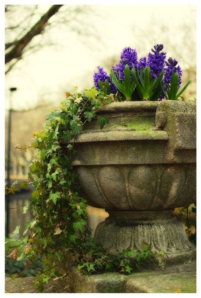 Spring in Dusseldorf