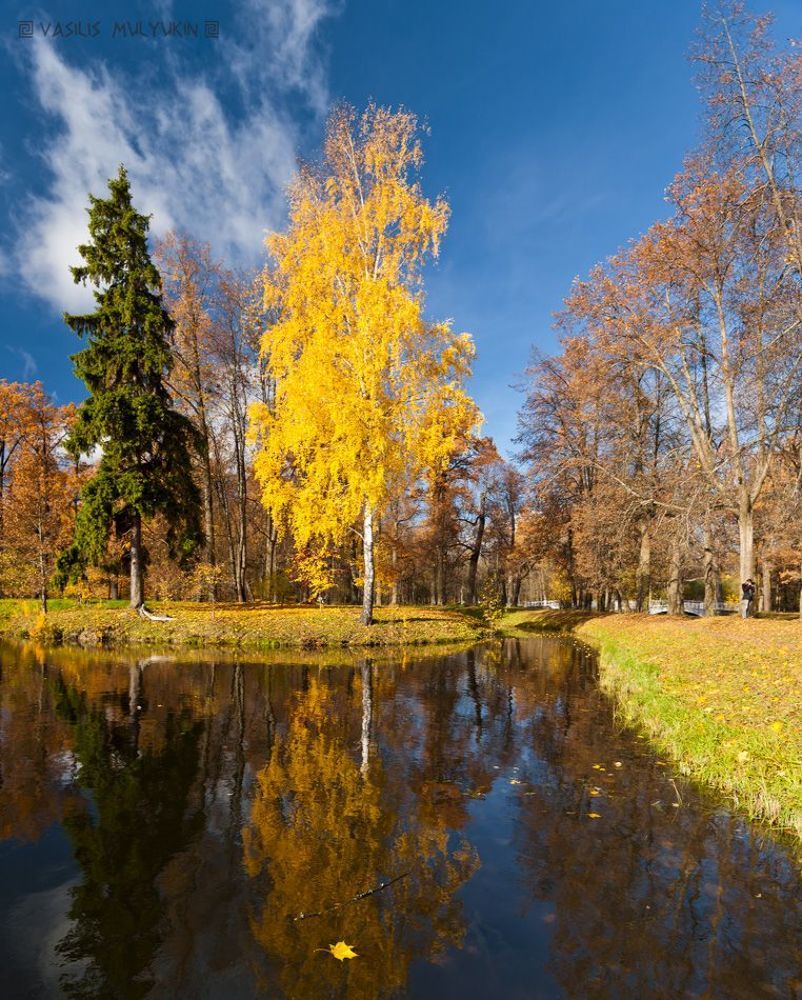 В Александровском парке ... К ...