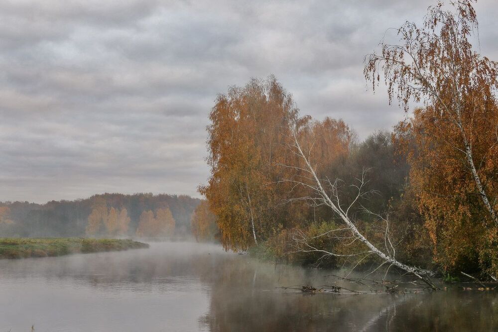 Состояние белорусской природы середины октября