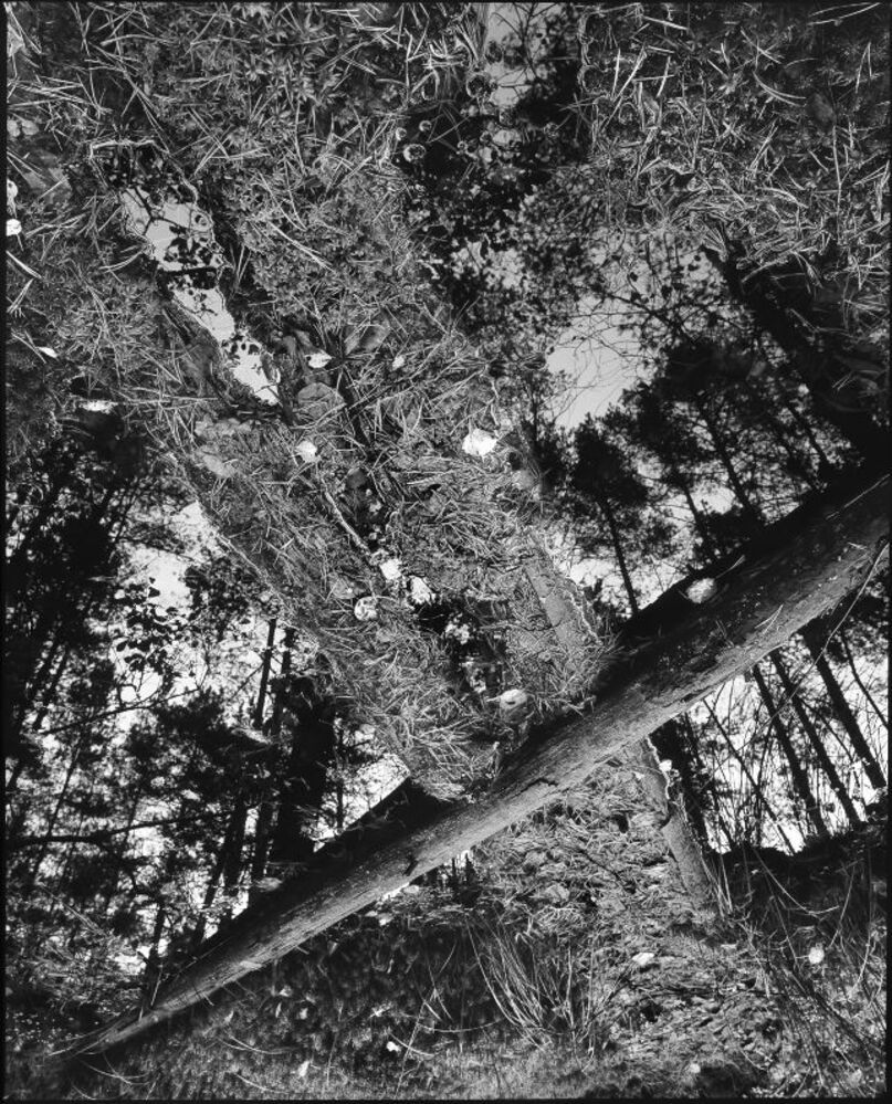 Photo 460332