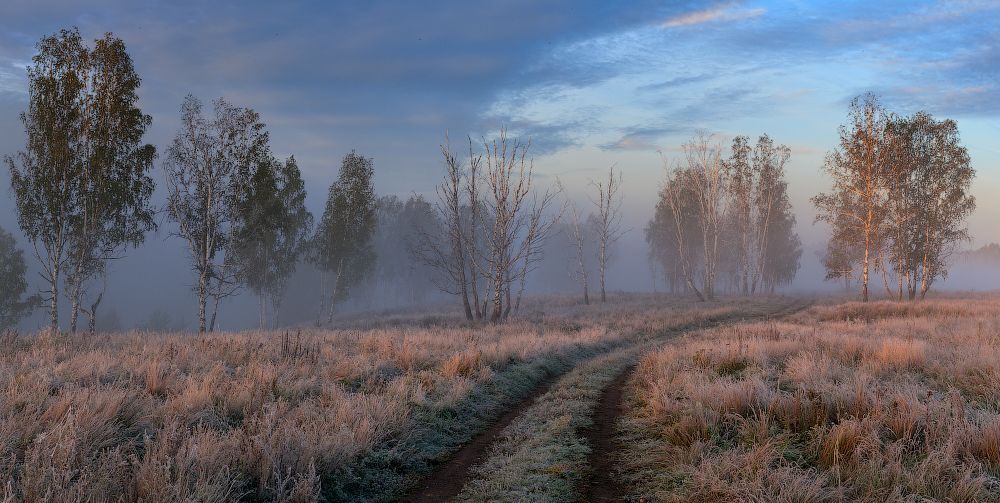 Первые заморозки