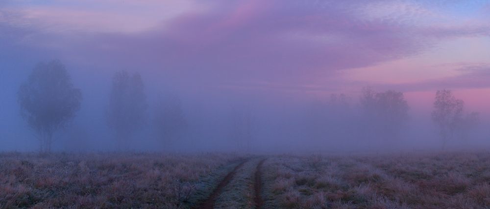 Первые заморозки