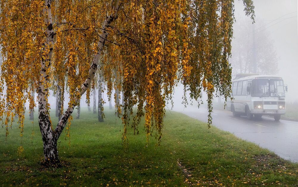 Ещё раз про туман осенний...