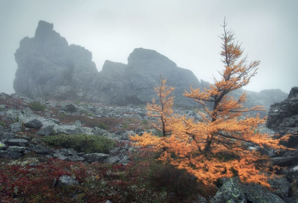 В туманах Серебрянского камня II