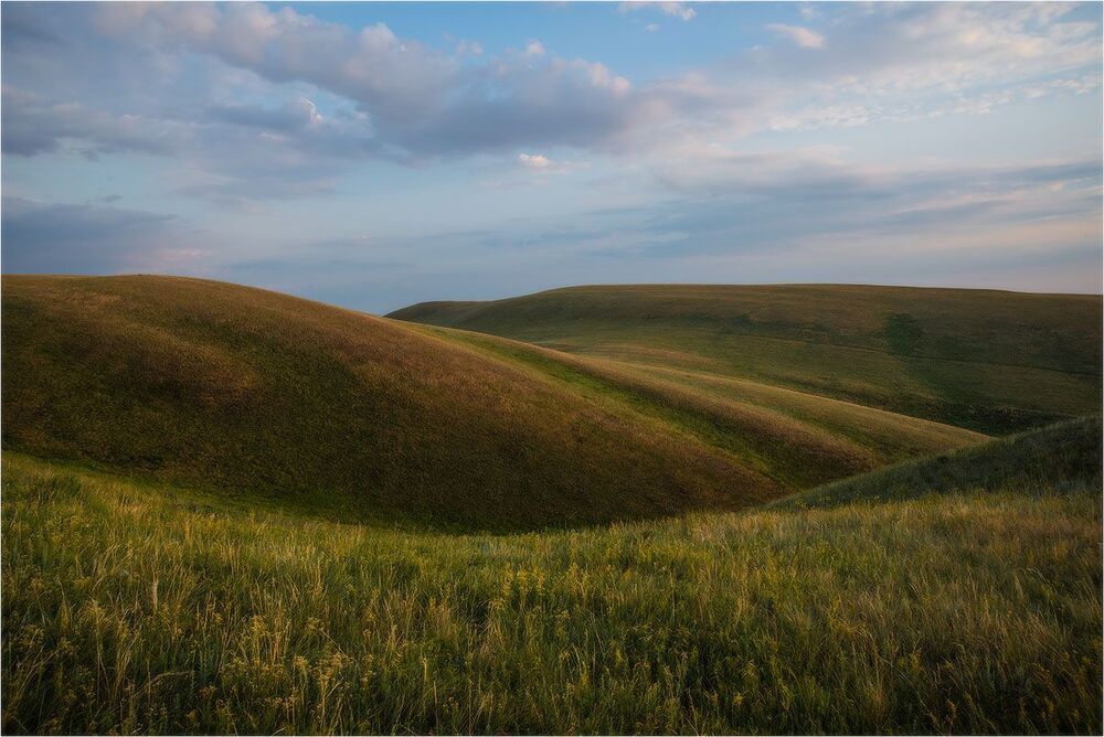 Сумерки