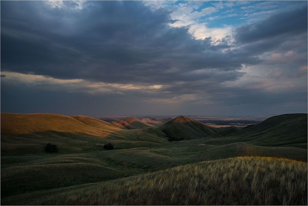 Сумерки