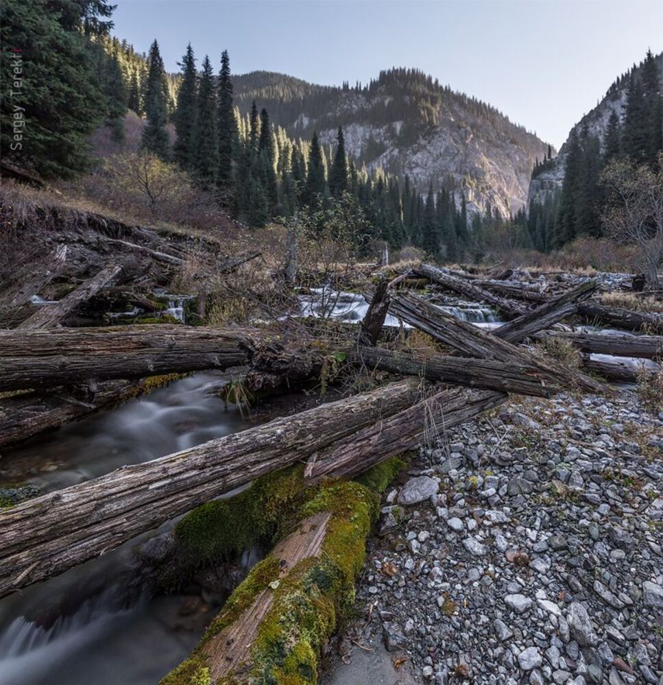 Каинды