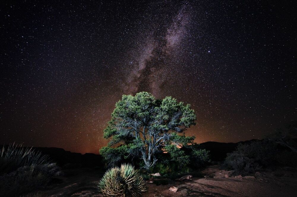 Night of stars flowing