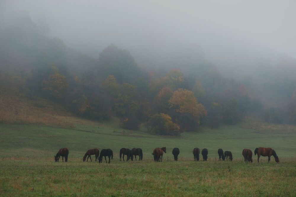 Photo 463832