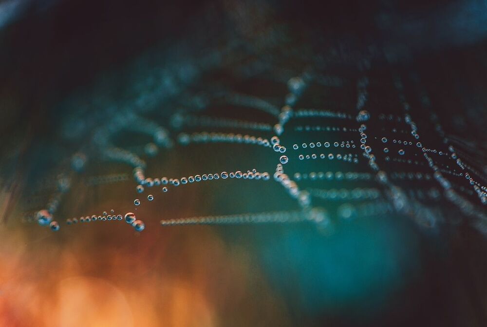 Photo 463834