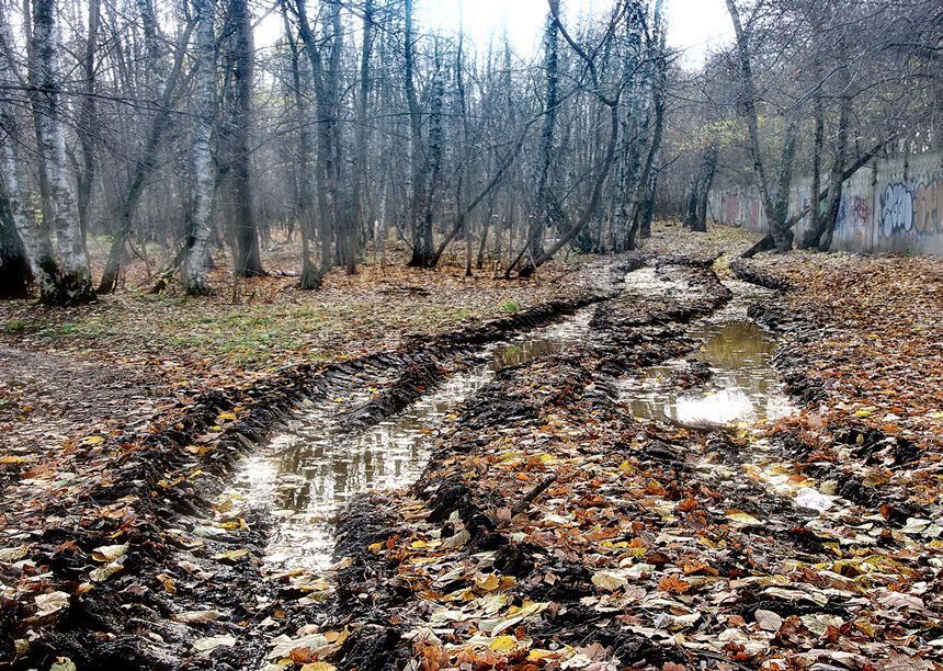 Такая разная осень...