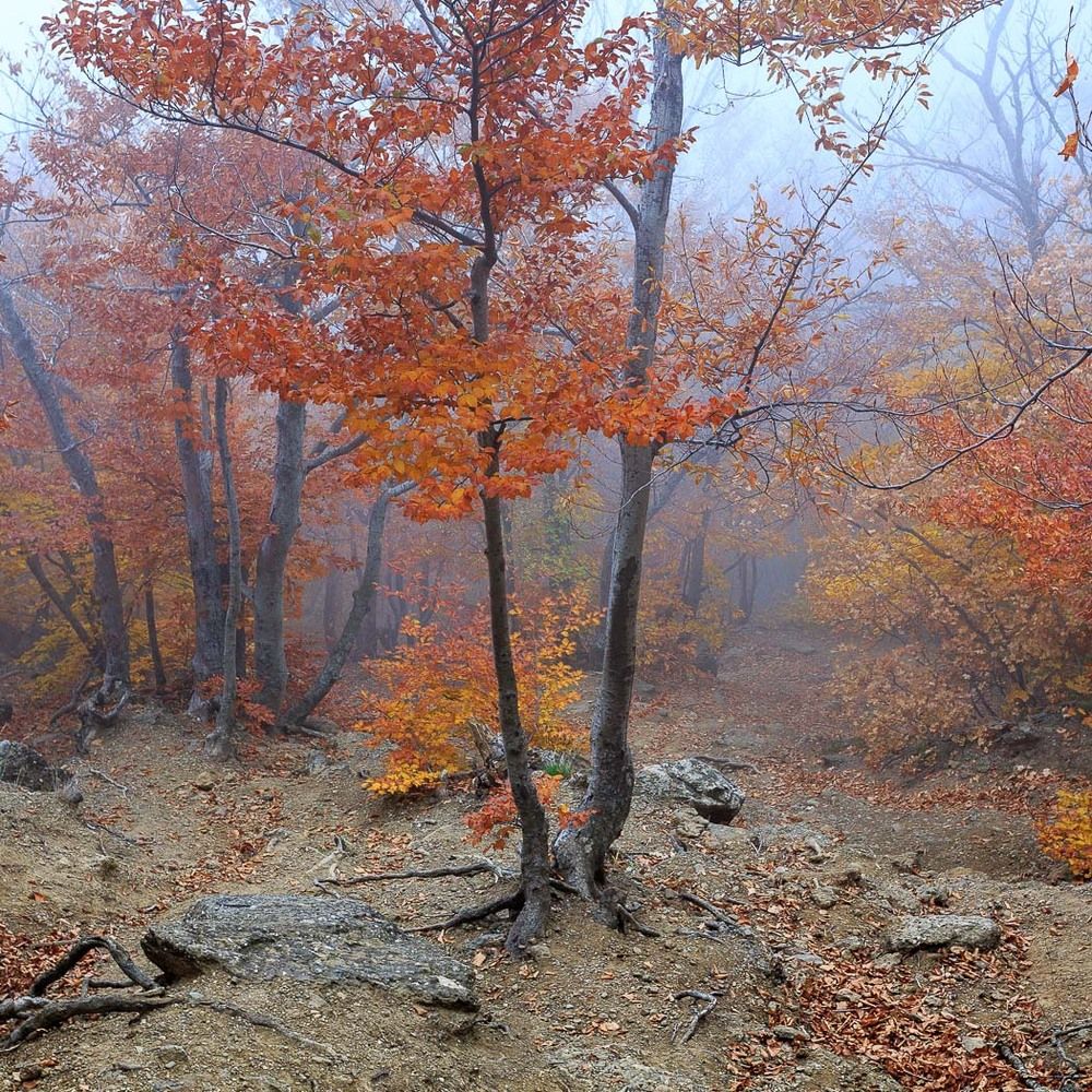 Мое знакомство с Демерджи. часть 2.