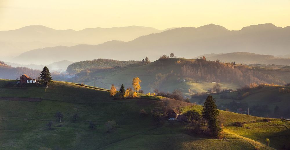 Autumn Light