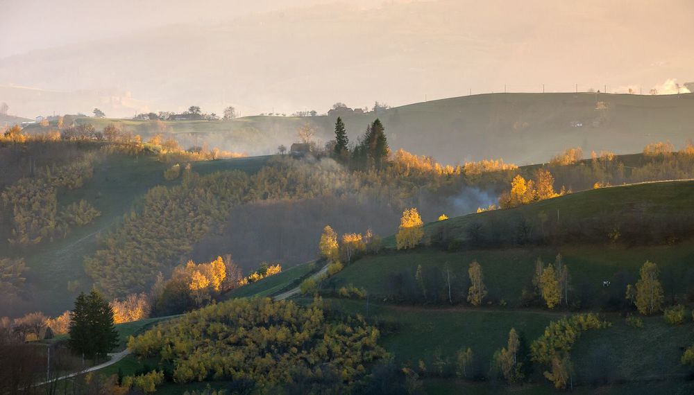 Autumn Light