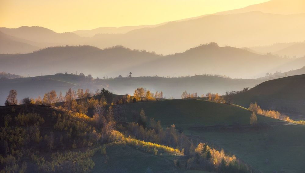 Autumn Light