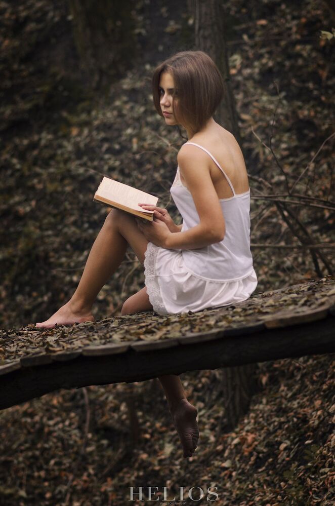 лес и книги