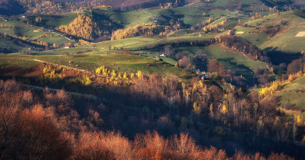 Poiana Marului