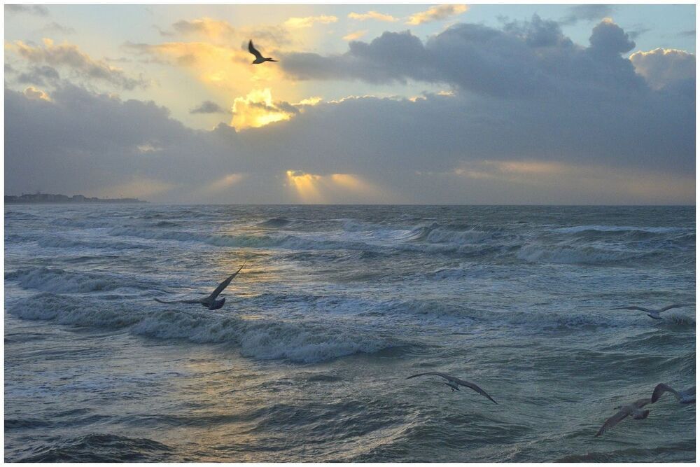 Evening colors of the North Sea.