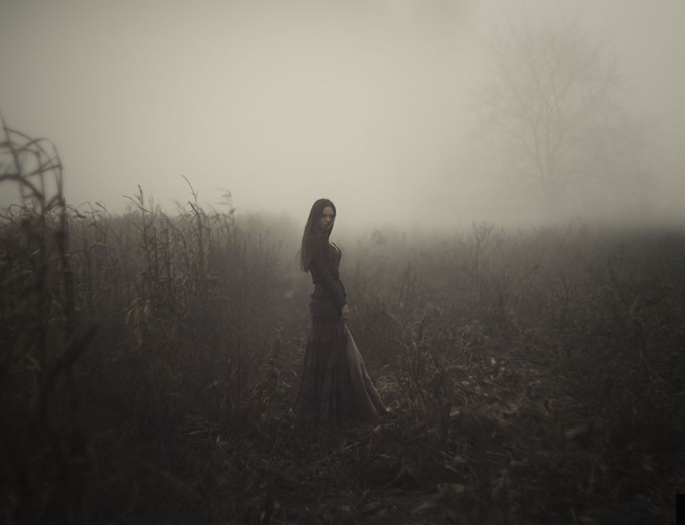 Photo 466056