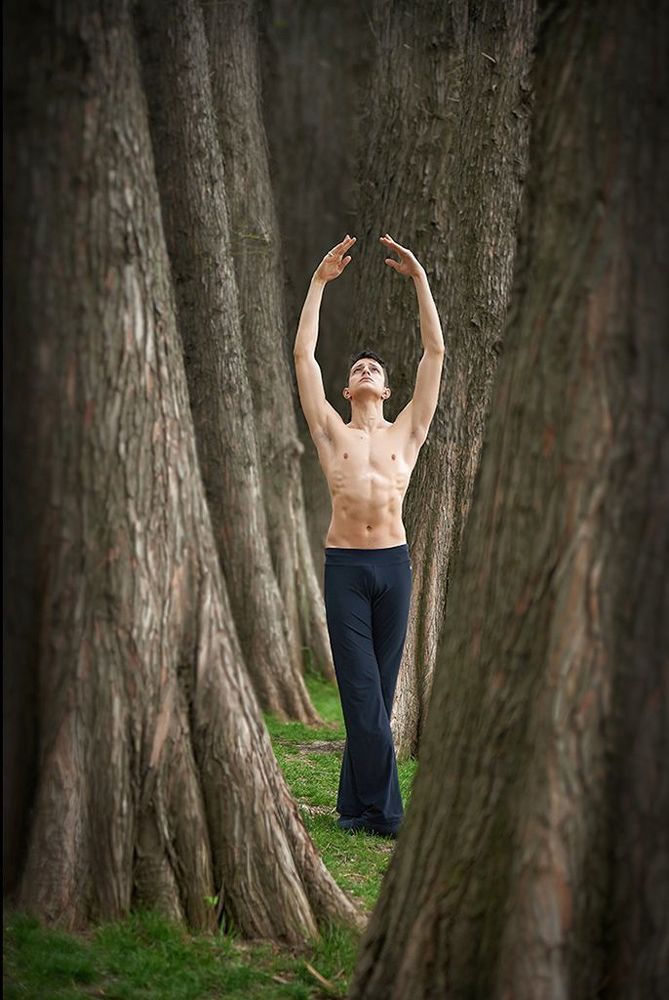 Trees