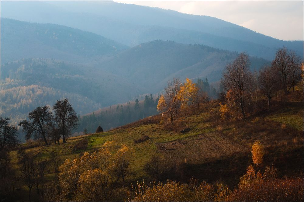 Золотая осень Карпат