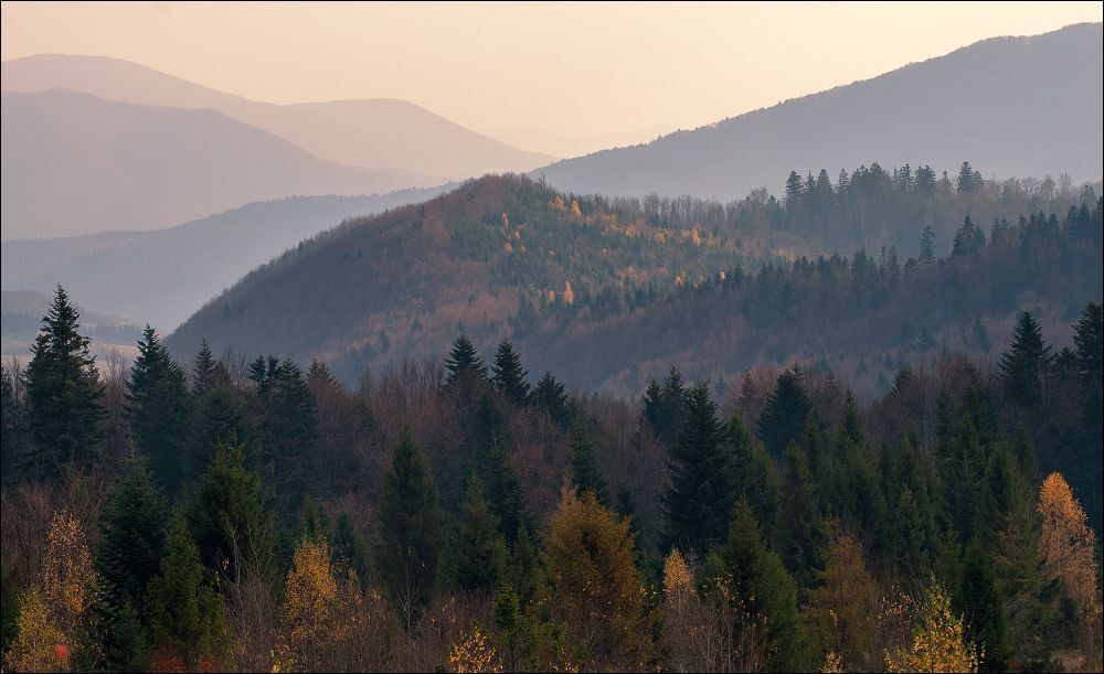 Золотая осень Карпат