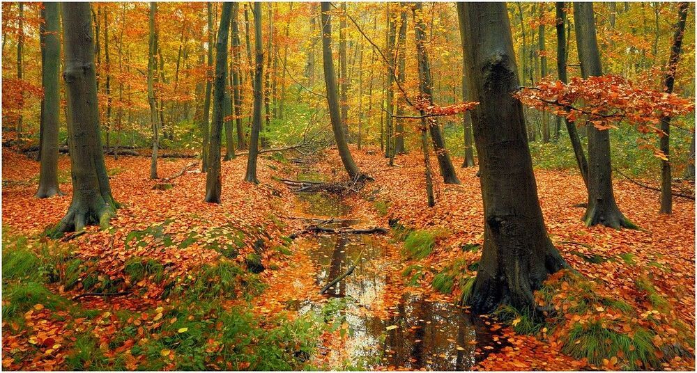 Autumn.