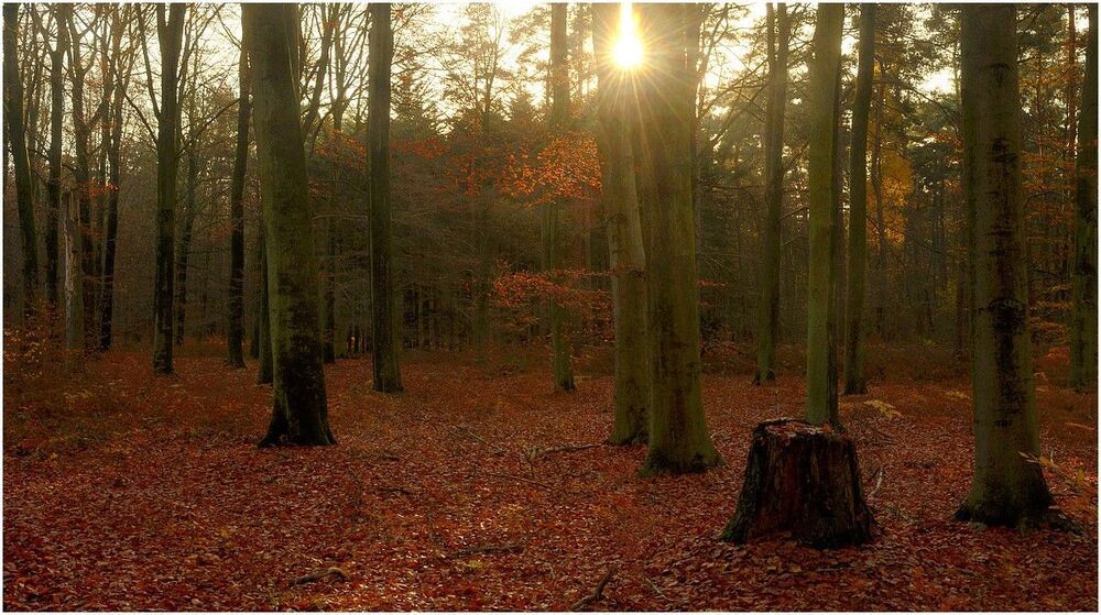 Autumn.