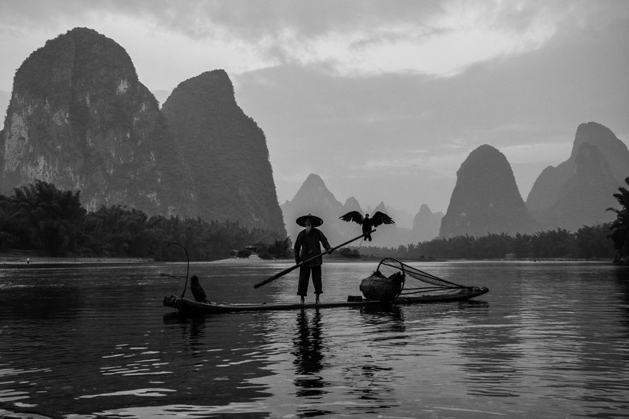 Old Fisherman with Cormorants on the Li river