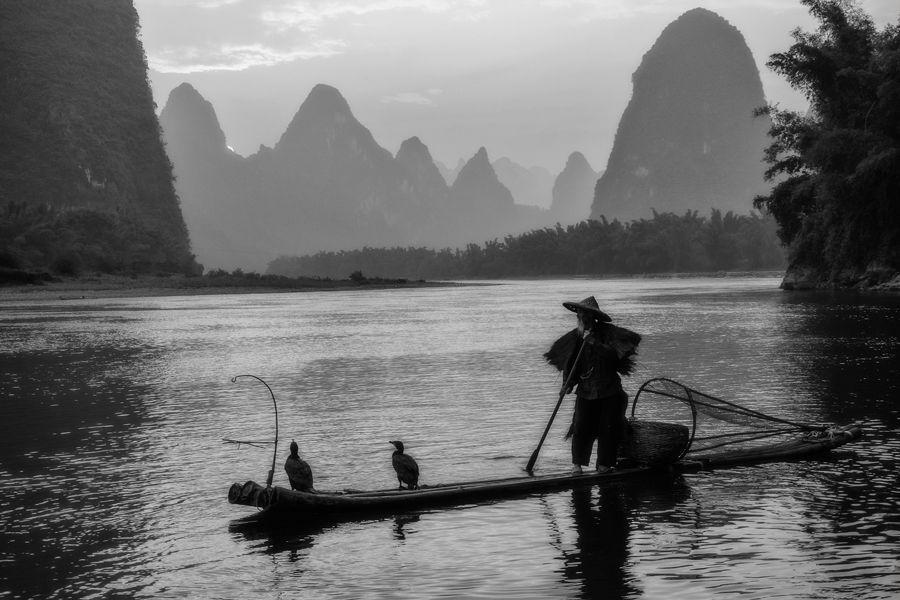 Old Fisherman with Cormorants on the Li river
