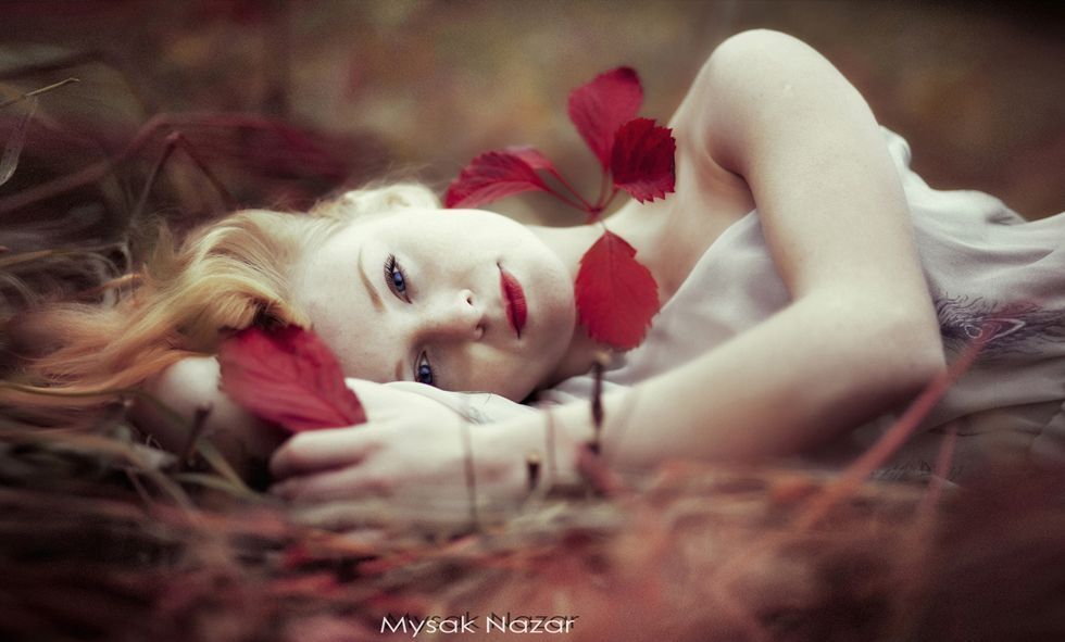 Photo 467911