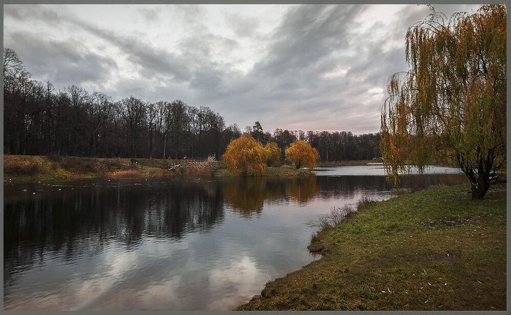Photo 467986